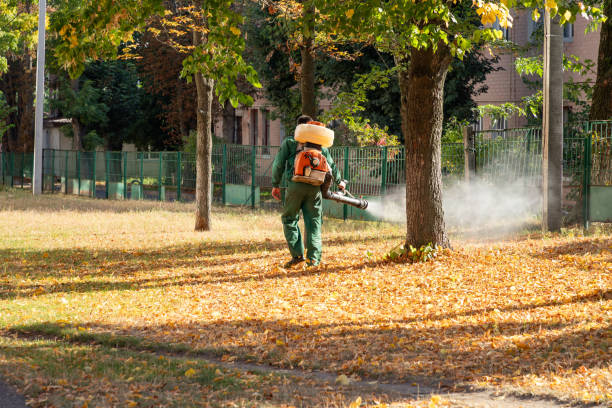 Best Pest Prevention Services  in Dayton, MN